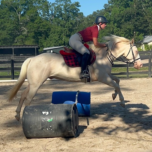 Meet your Posher, Kristen - Picture 14 of 16